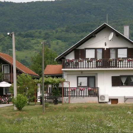فندق House Viktoria سيليست دريزنيكو المظهر الخارجي الصورة