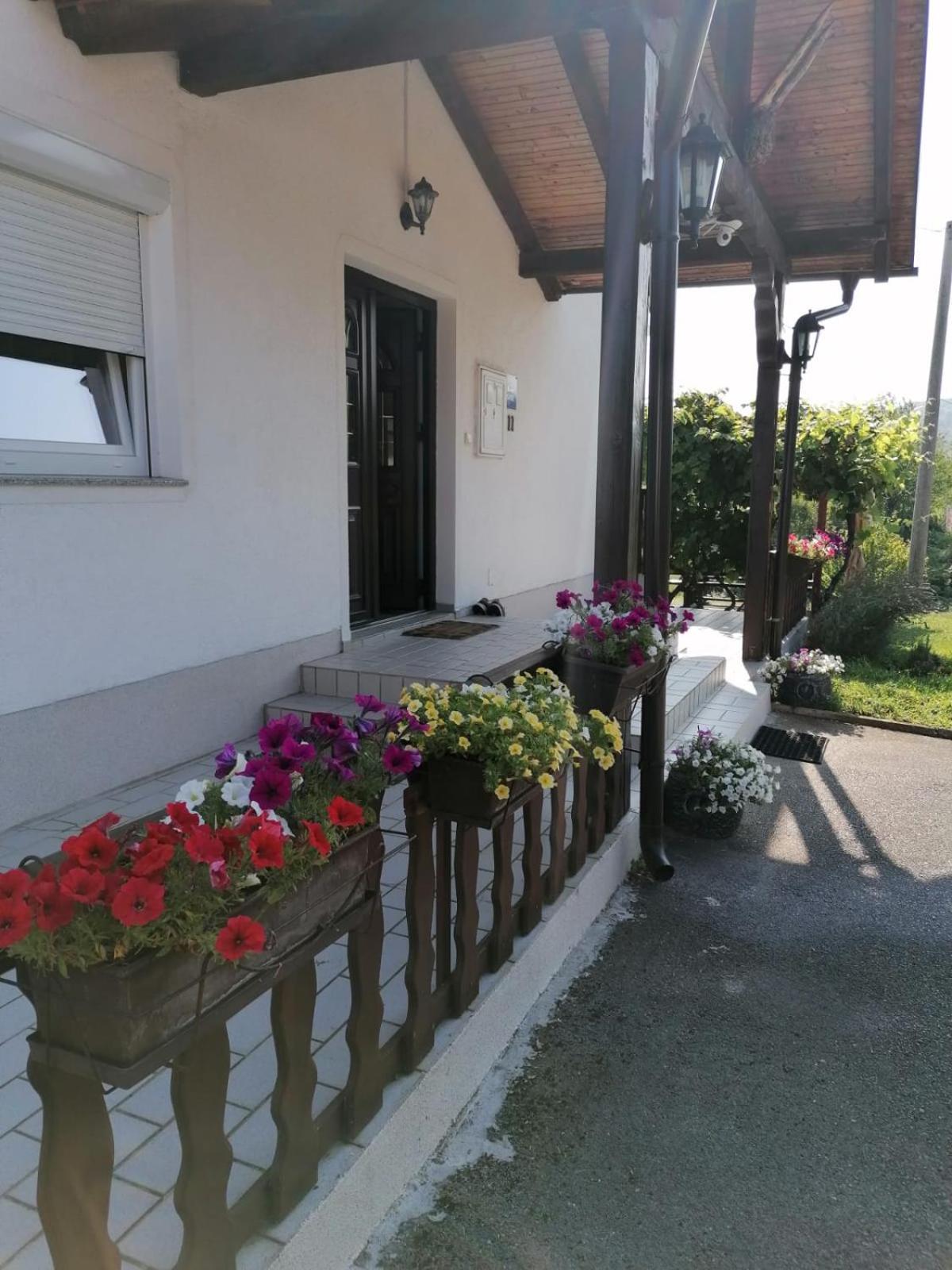 فندق House Viktoria سيليست دريزنيكو المظهر الخارجي الصورة