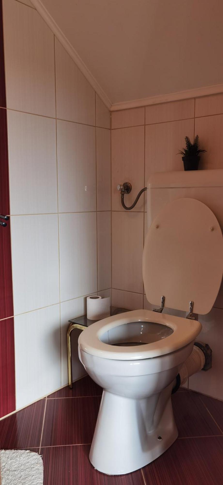 فندق House Viktoria سيليست دريزنيكو المظهر الخارجي الصورة