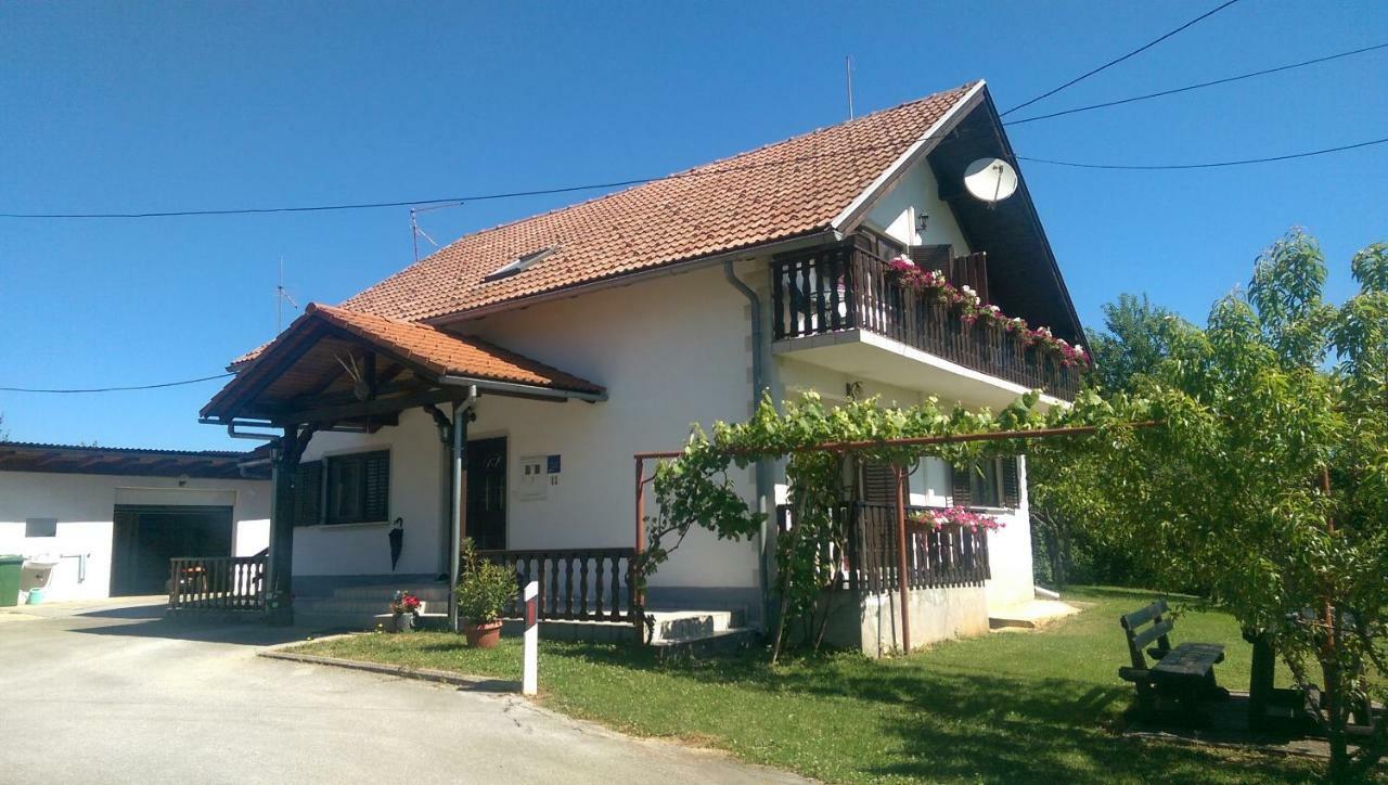فندق House Viktoria سيليست دريزنيكو المظهر الخارجي الصورة
