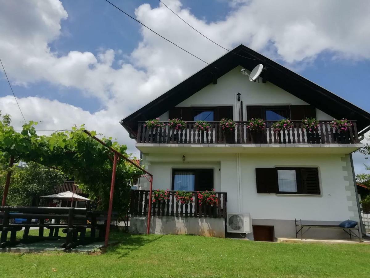 فندق House Viktoria سيليست دريزنيكو المظهر الخارجي الصورة