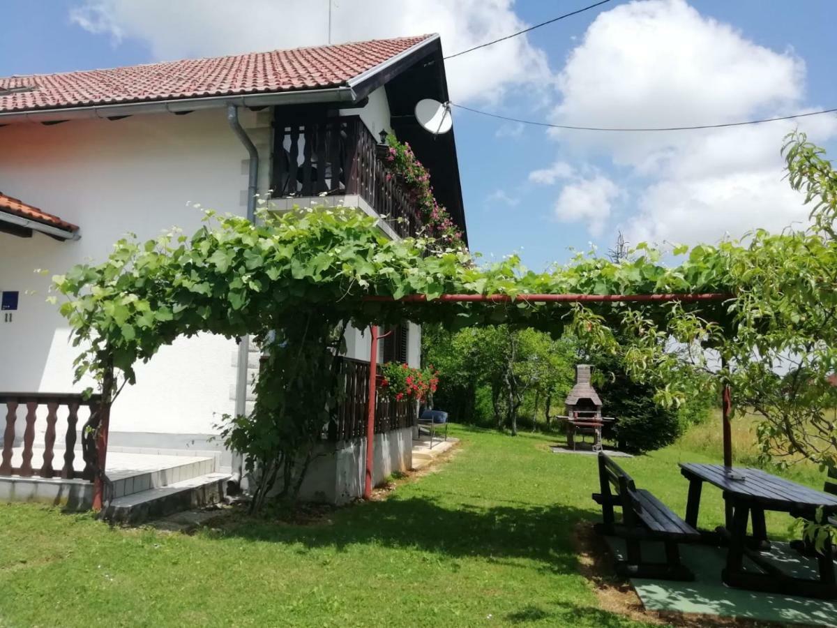 فندق House Viktoria سيليست دريزنيكو المظهر الخارجي الصورة